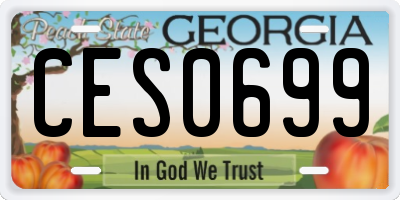 GA license plate CES0699
