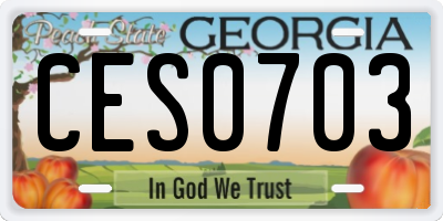 GA license plate CES0703