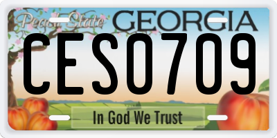 GA license plate CES0709