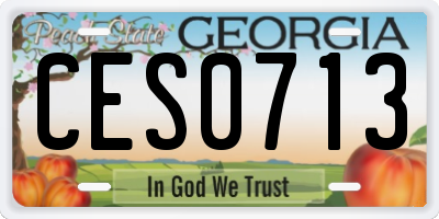 GA license plate CES0713