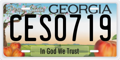 GA license plate CES0719