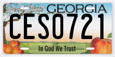 GA license plate CES0721