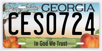 GA license plate CES0724