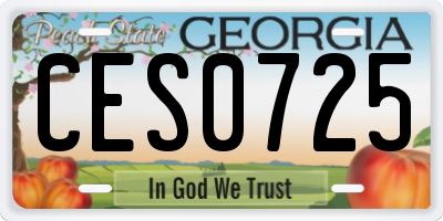 GA license plate CES0725