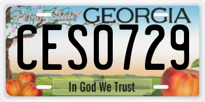 GA license plate CES0729