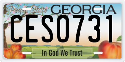 GA license plate CES0731