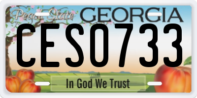 GA license plate CES0733