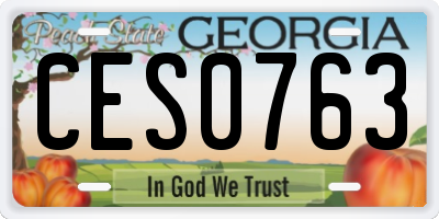 GA license plate CES0763