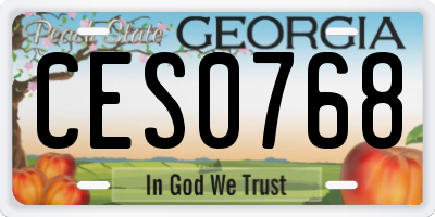 GA license plate CES0768