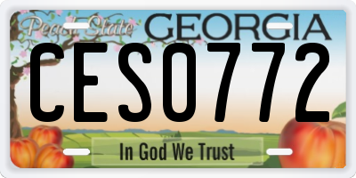GA license plate CES0772
