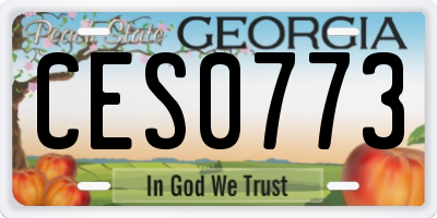 GA license plate CES0773