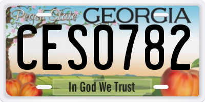 GA license plate CES0782
