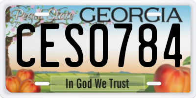 GA license plate CES0784