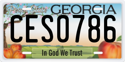 GA license plate CES0786