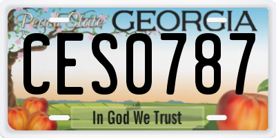 GA license plate CES0787