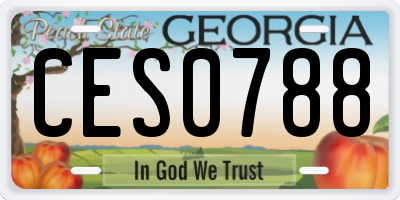 GA license plate CES0788