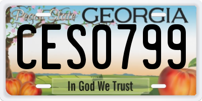 GA license plate CES0799