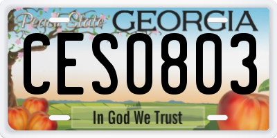 GA license plate CES0803