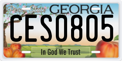 GA license plate CES0805