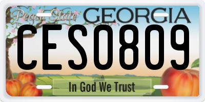 GA license plate CES0809