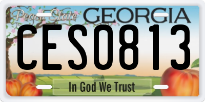 GA license plate CES0813