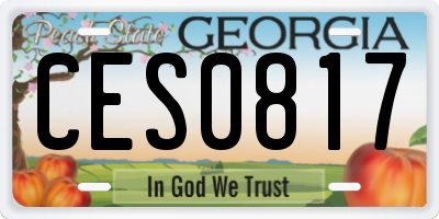 GA license plate CES0817
