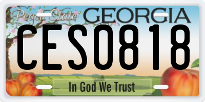 GA license plate CES0818