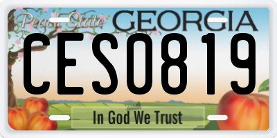 GA license plate CES0819