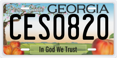 GA license plate CES0820