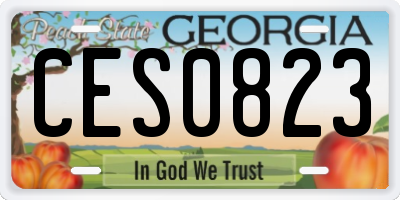 GA license plate CES0823