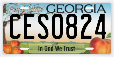 GA license plate CES0824