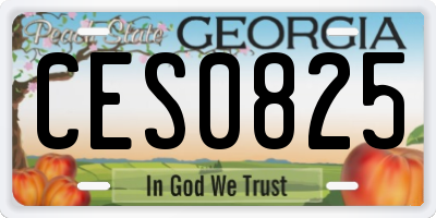 GA license plate CES0825