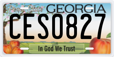 GA license plate CES0827