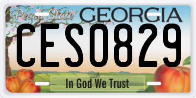 GA license plate CES0829