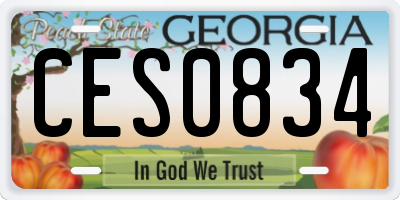 GA license plate CES0834