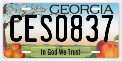 GA license plate CES0837