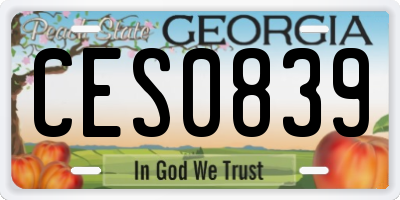 GA license plate CES0839