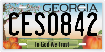 GA license plate CES0842