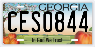 GA license plate CES0844