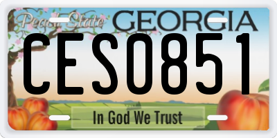 GA license plate CES0851