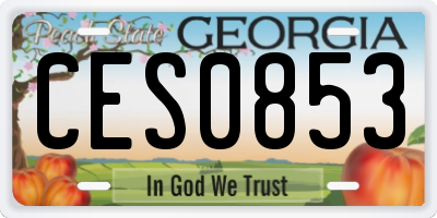 GA license plate CES0853