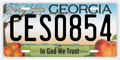 GA license plate CES0854