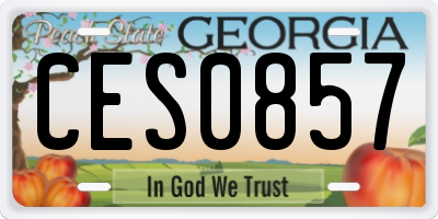 GA license plate CES0857
