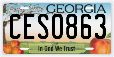 GA license plate CES0863