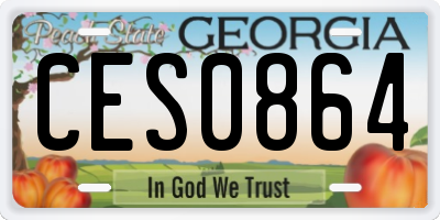 GA license plate CES0864