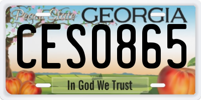 GA license plate CES0865