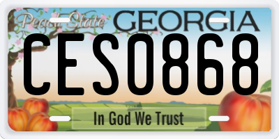 GA license plate CES0868