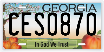 GA license plate CES0870