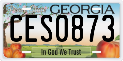 GA license plate CES0873