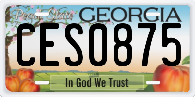 GA license plate CES0875